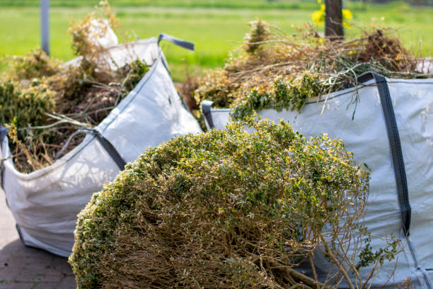 Best Appliance Removal Near Me  in Louisville, CO